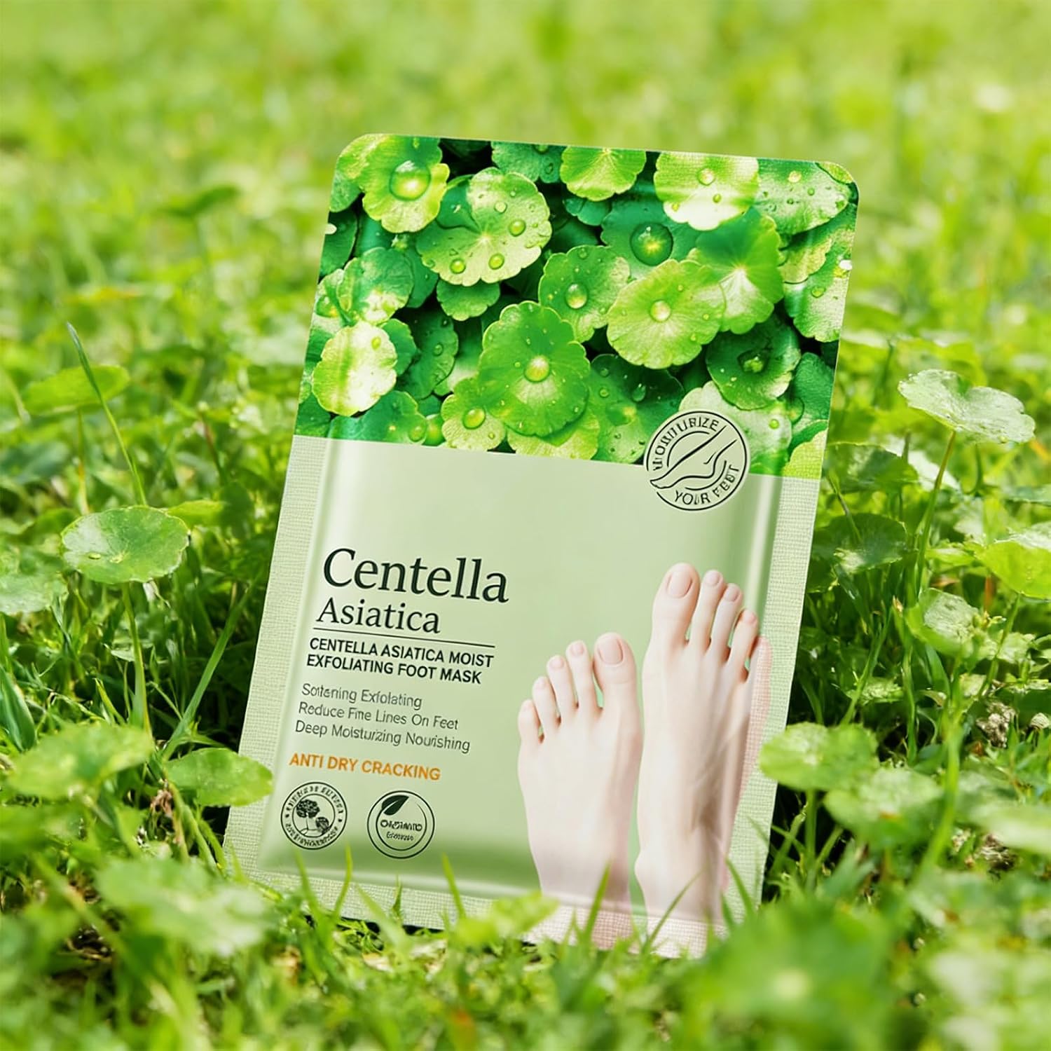 6942017826461 BIOAQUA Centella Asiatica Moist Exfoliating Foot Mask – 1 Pair (1) BIOAQUA Centella Foot Mask